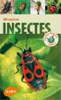 Insectes - Preview