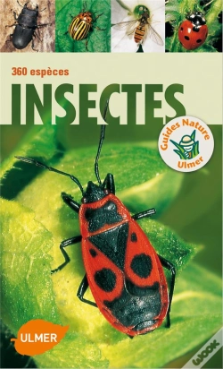 Capa do artigo Insectes