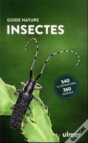 Capa do artigo Insectes