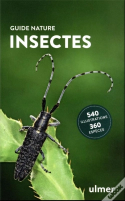 Capa do artigo Insectes