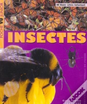 Insectes