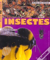 Capa do artigo Insectes