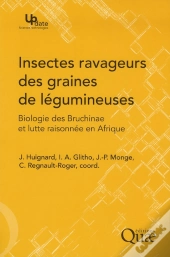 Insectes Ravageurs Des Graines De Légumineuses