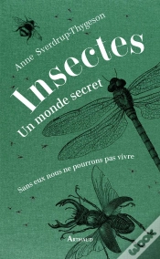Capa do artigo Insectes : Un Monde Secret ; Sans Eux Nous Ne Pourrions Pas Vivre