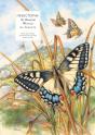 Insectopia - Preview