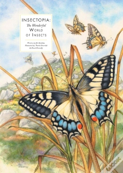 Capa do artigo Insectopia