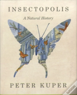 Capa do artigo Insectopolis