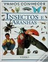 Insectos e Aranhas