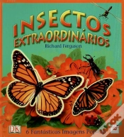 Capa do artigo Insectos Extraordinários