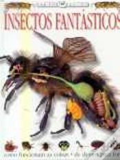 Capa do artigo Insectos Fantásticos