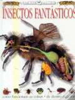 Capa do artigo Insectos Fantásticos