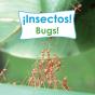 Insectos! - Preview