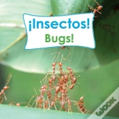 Capa do artigo Insectos!