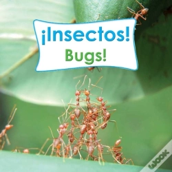 Capa do artigo Insectos!