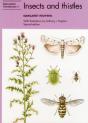 Insects And Thistles - Preview