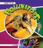 Insects As Pollinators - Preview