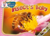 Capa do artigo Insect