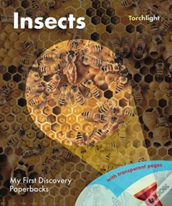 Capa do artigo Insects