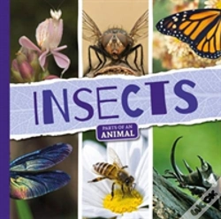 Capa do artigo Insects