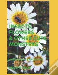 Insects, Flowers & Other Cute Monsters