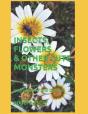 Insects, Flowers & Other Cute Monsters - Preview