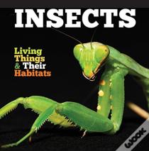 Insects