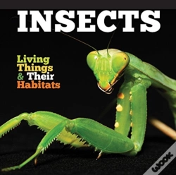 Capa do artigo Insects
