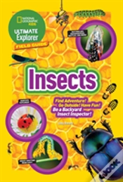Capa do artigo Insects