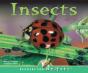 Insects - Preview
