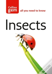 Capa do artigo Insects