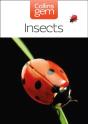 Insects - Preview