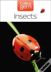 Insects