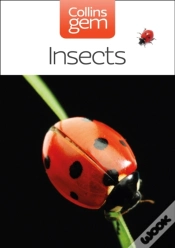 Capa do artigo Insects
