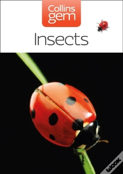 Capa do artigo Insects