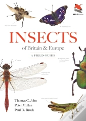 Insects Of Britain And Europe