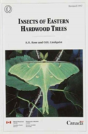 Insects Of Eastern Hardwood Trees - Preview