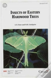 Insects Of Eastern Hardwood Trees
