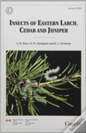 Capa do artigo Insects Of Eastern Larch, Cedar And Juniper