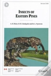 Insects Of Eastern Pines