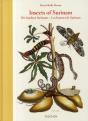 Insects of Surinam - Preview