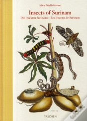 Capa do artigo Insects of Surinam