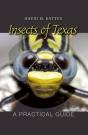 Insects Of Texas - Preview