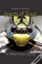 Insects Of Texas
