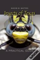 Insects Of Texas