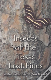 Insects Of The Texas Lost Pines