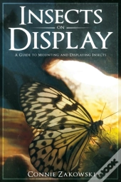 Insects On Display