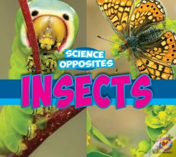 Capa do artigo Insects