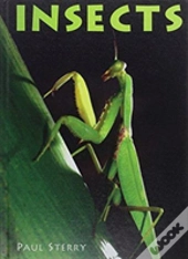 Insects