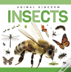 Capa do artigo Insects