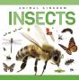 Insects - Preview